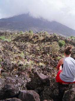 Lauren Wendling 2.jpg